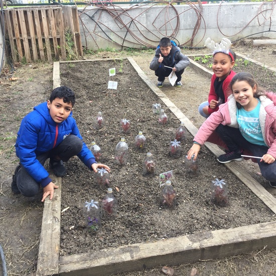 El año hortelano de 4º B 20