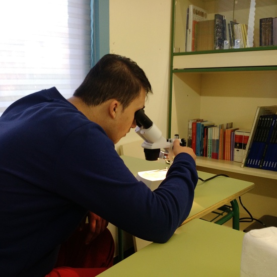Usando el microscopio 1