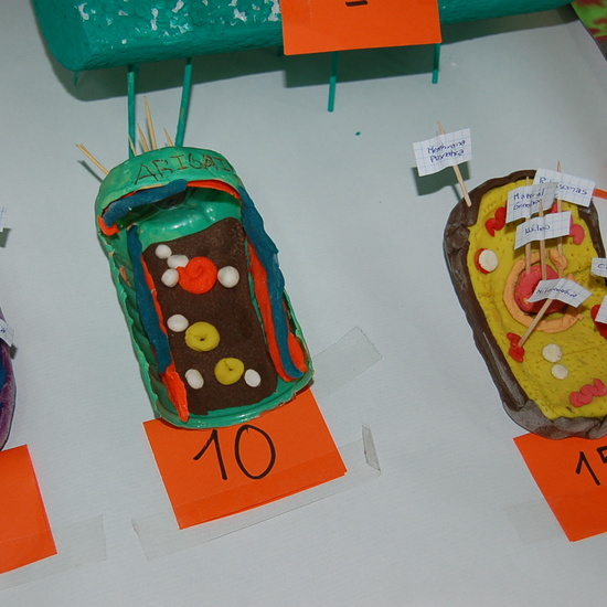 CONCURSO CELULAR 1º ESO 12