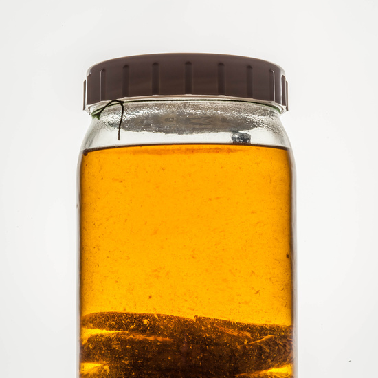 IES_CARDENALCISNEROS_CIENCIASNATURALES_279