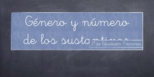 GÉNERO Y NÚMERO DE LOS SUSTANTIVOS.