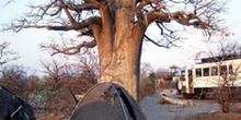 Campamento Planet Baobab, Botswana