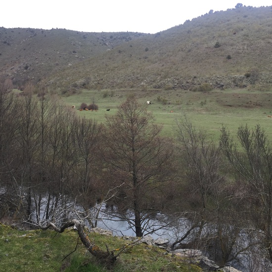 Senderismo 1º ESO 28