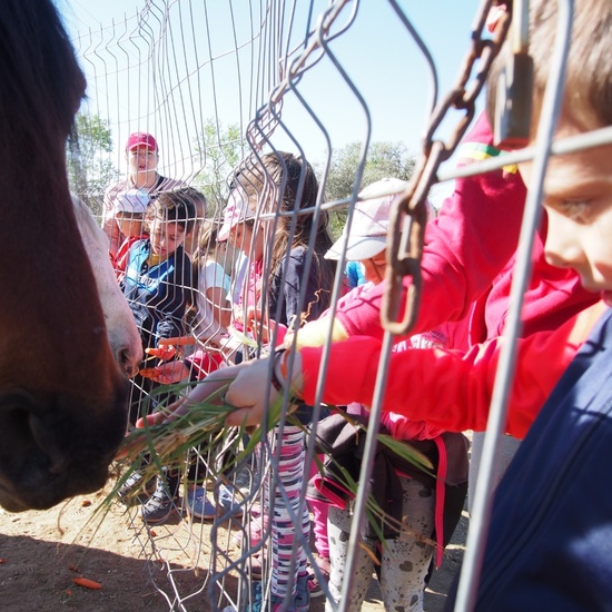 SALIDA NATURALEZA 36