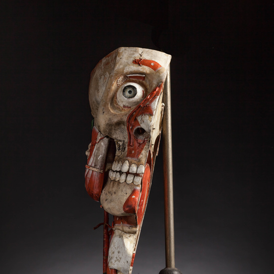 IES_CARDENALCISNEROS_ANATOMIA_MODELOS_094