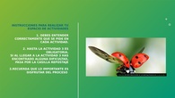 Instrucciones