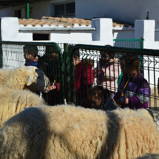 GRANJA ESCUELA ALBITANA 2018 40