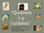 Quiérelos y Cuídalos