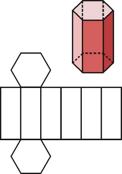 Prisma regular y su desarrollo