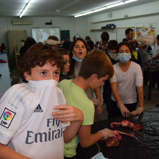 2016_12_02_Diseccion de corazon y pulmones_Sexto 8