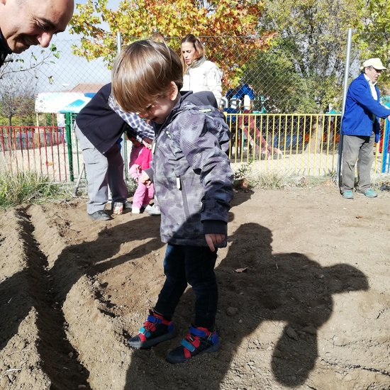 Huerto escolar 2019/20 38