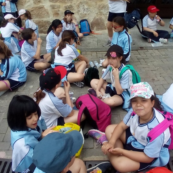 Camino de Santiago 14