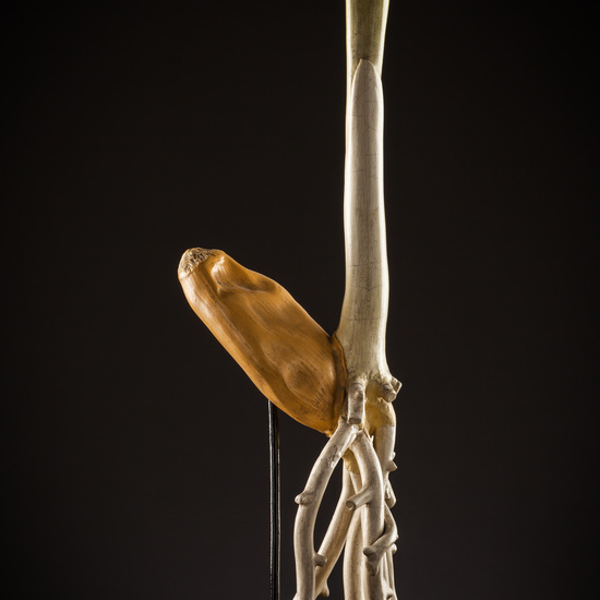 IES_SANISIDRO_BIOLOGIA_199