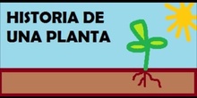 HISTORIA DE UNA PLANTA