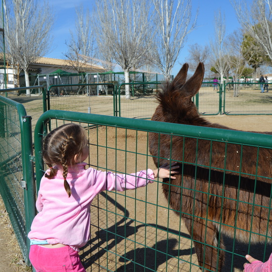 GRANJA ESCUELA ALBITANA 2018 30