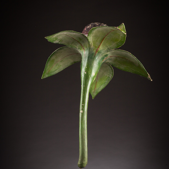 IES_ISABELLACATOLICA_BIOLOGIA_033