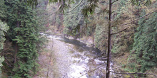 Cañón Capilano, Vancouver