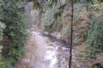 Cañón Capilano, Vancouver