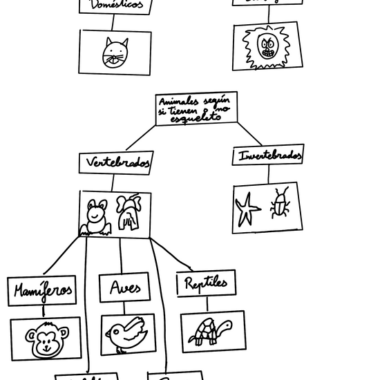 Esquema de vertebrados