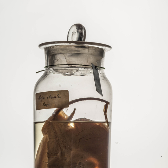 IES_CARDENALCISNEROS_CIENCIASNATURALES_168