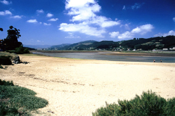 Vista hacia el sur de la bahía arenosa de la ría de Villaviciosa