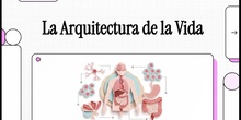 Vídeo resumen "La organización del cuerpo humano", 3º ESO, Biología