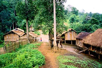Vista de poblado de elefantes, Tailandia