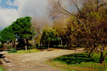 Parque