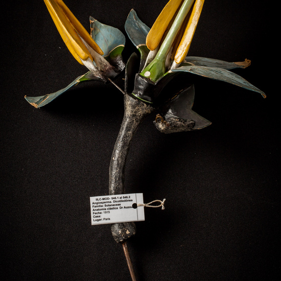 IES_ISABELLACATOLICA_BIOLOGIA_021