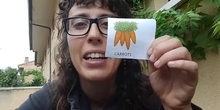 Vegetables talking flashcards