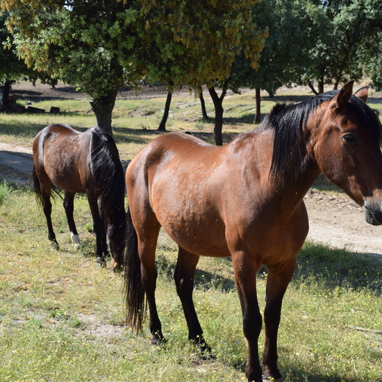 Salida en bici 4º de Primaria 1
