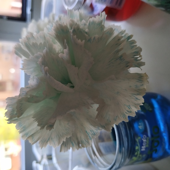 JORNADAS TEMÁTICAS 2021 