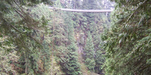 Puente suspendido Capilano, Vancouver
