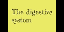 DIGESTIVE SYSTEM