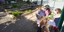 2019_02_24_Quinto termina febrero con las actividades de huerto_CEIP FDLR_Las Rozas_2019 6