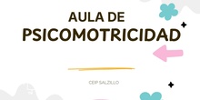 EL AULA DE PSICOMOTRICIDAD DEL SALZILLO
