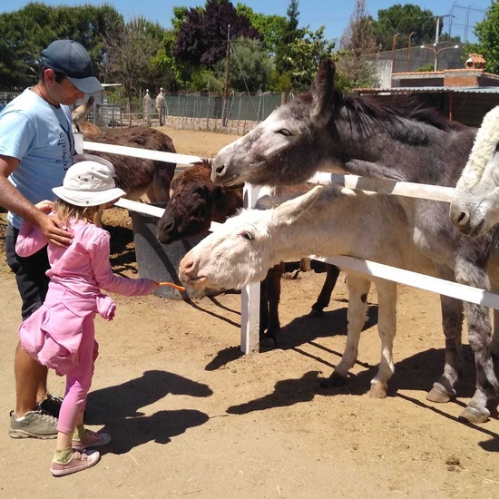 1º A BURROLANDIA 7