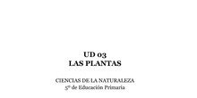 UD 03 - Las plantas