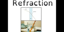  PRIMARIA - 5º - REFLECTION - NATURAL SCIENCE