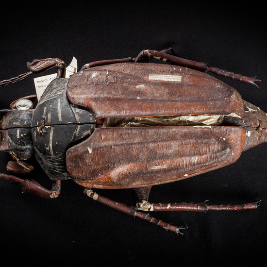 IES_SANISIDRO_MUSEO_Zoolgía_021