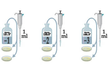 Siembra en superficie por diluciones decimales