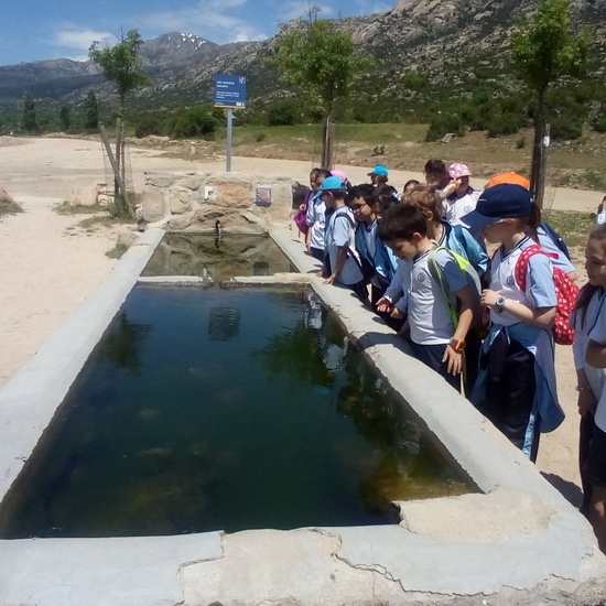 Camino de Santiago 3º EP 7