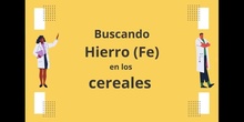 Jornadas de Salud: El Hierro en los cereales - Contenido educativo