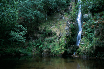 Pozo da Ferida, Viveiro, Lugo, Galicia