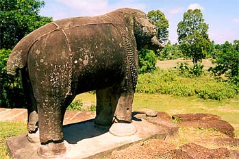 Elefante de piedra en la selva, Aangkor, Camboya