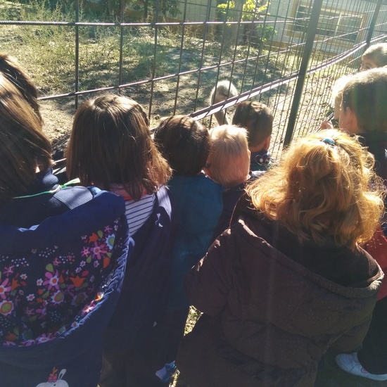 2016_inf 4 años a visita la granja 15