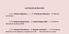 Esquema función de nutrición