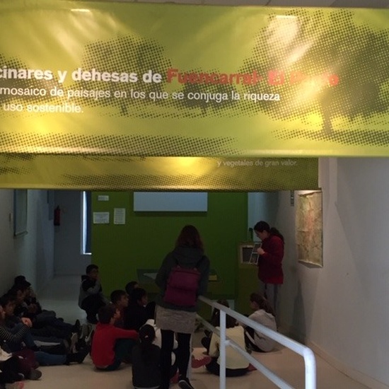 Centro de Interpretación de la Naturaleza. Montecarmelo. 6º curso. 10