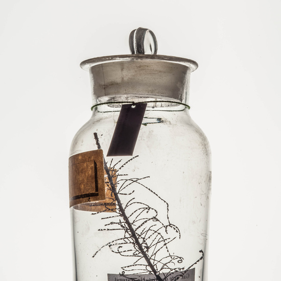 IES_CARDENALCISNEROS_CIENCIASNATURALES_050