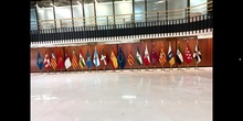 Banderas en el Tribunal Constitucional